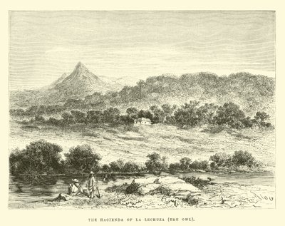 The hacienda of La Lechuza, the Owl by Edouard Riou